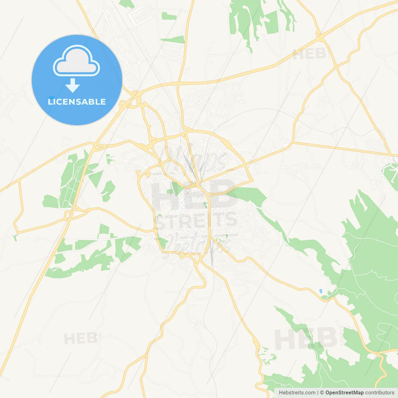 Viterbo, Italy Vector Map - Classic Colors