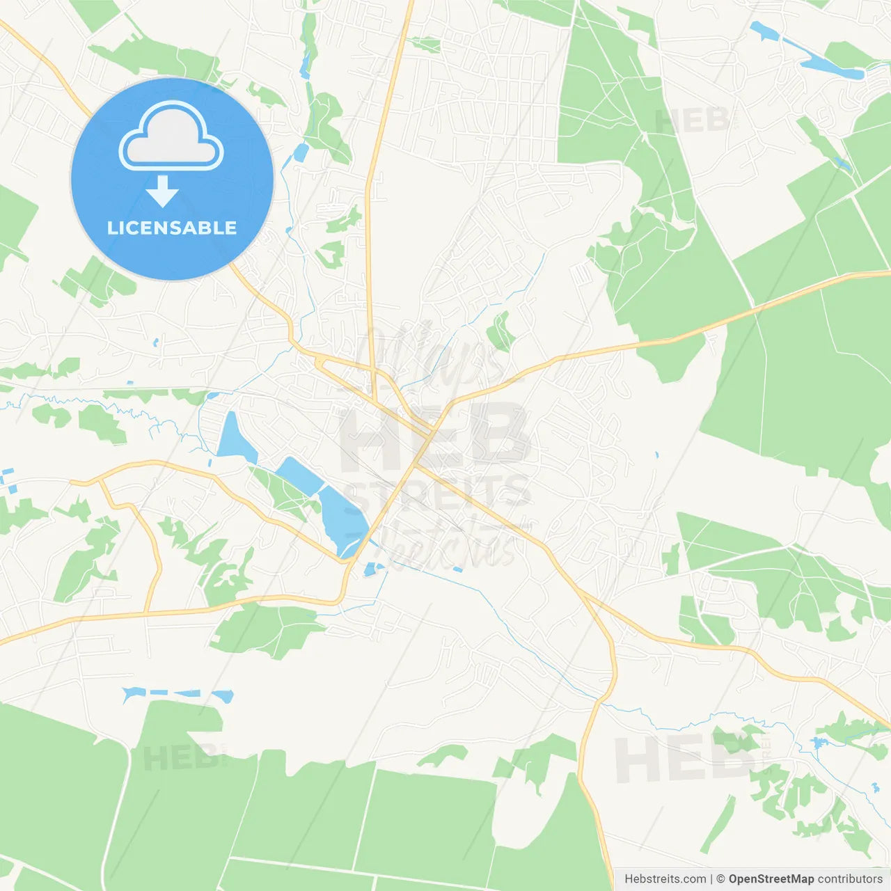 Vasylkiv, Ukraine Vector Map - Classic Colors