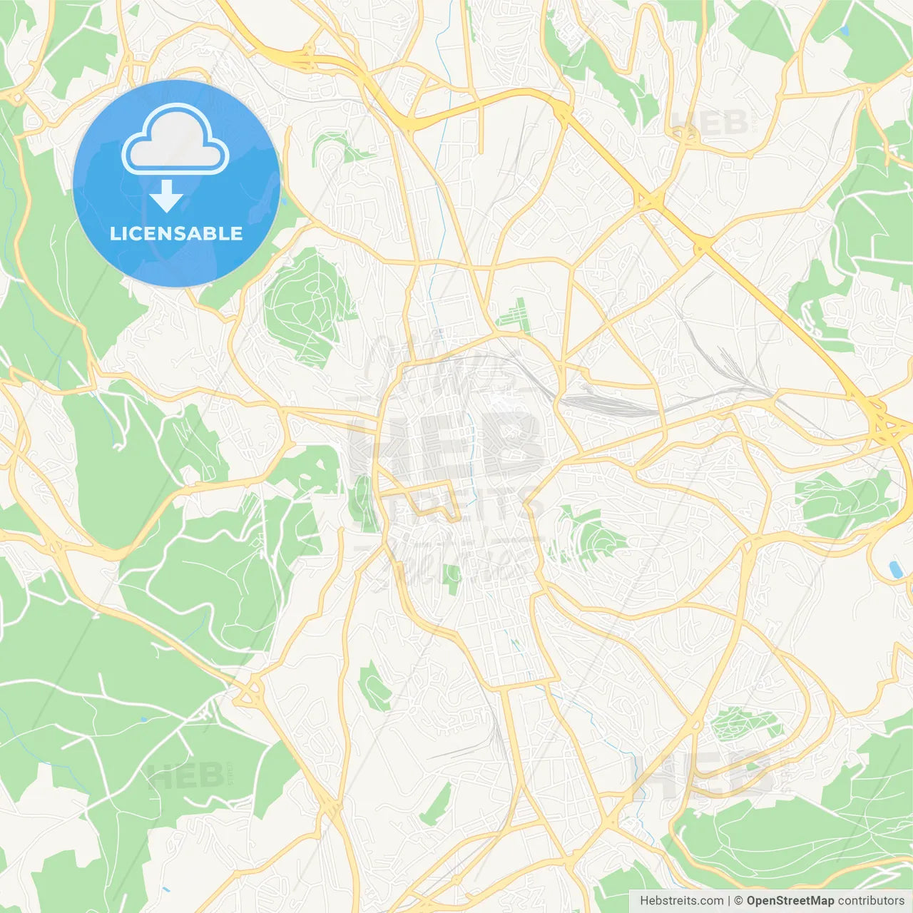 Saint-Etienne, France Vector Map - Classic Colors