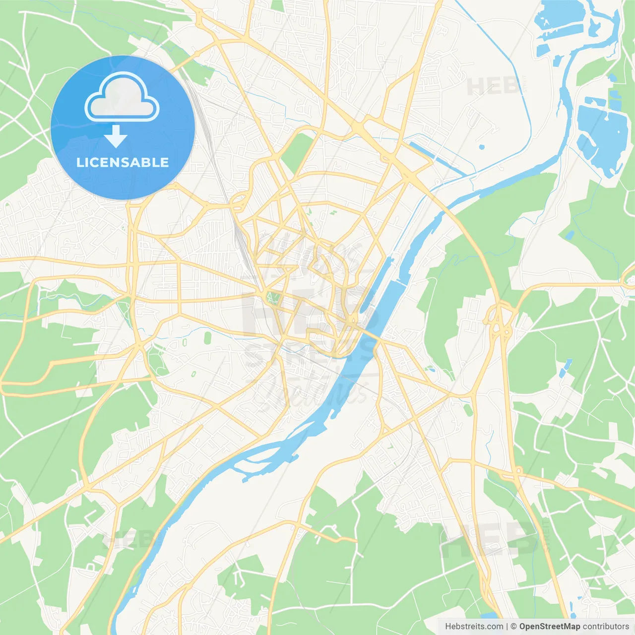 Roanne, France Vector Map - Classic Colors