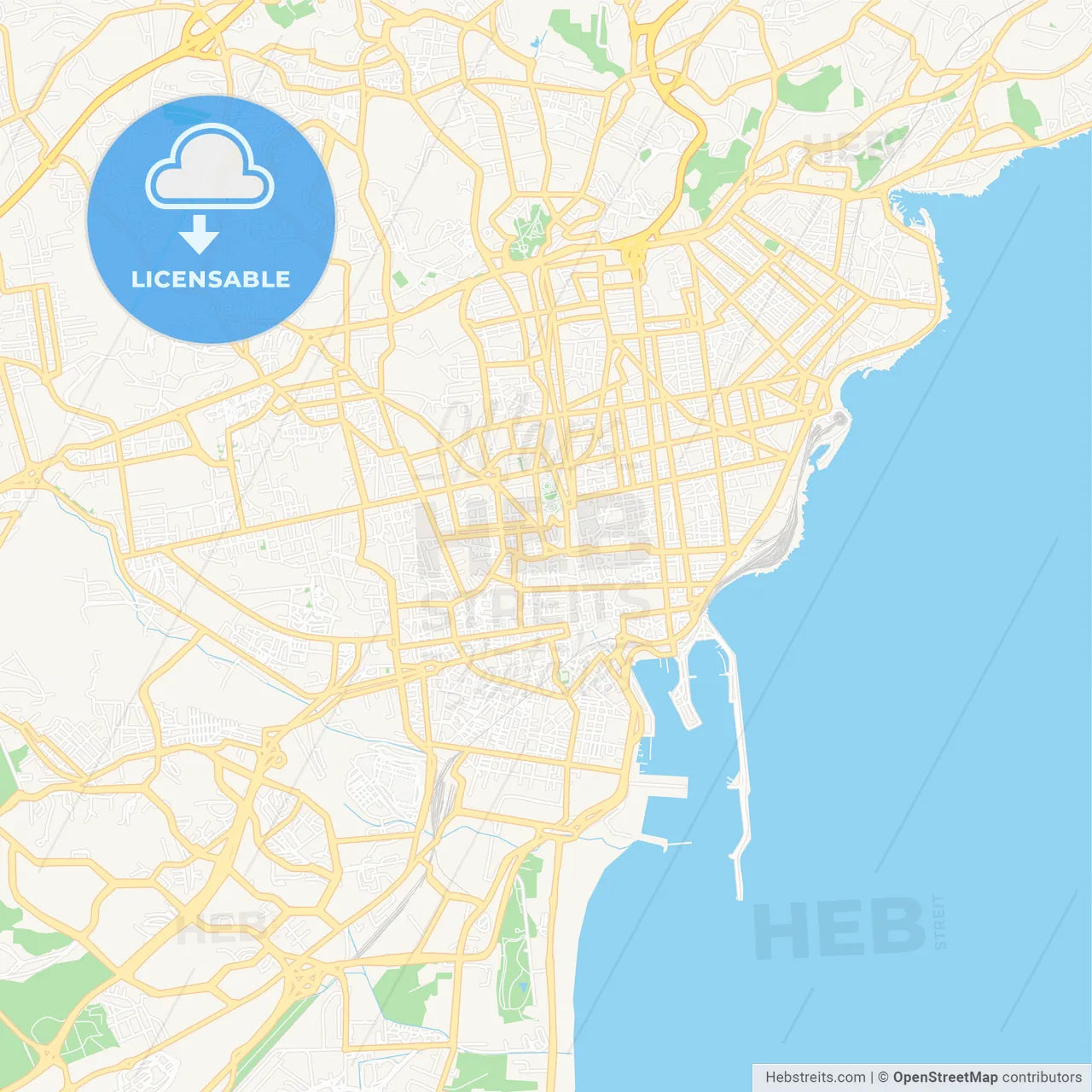 Catania, Italy Vector Map - Classic Colors