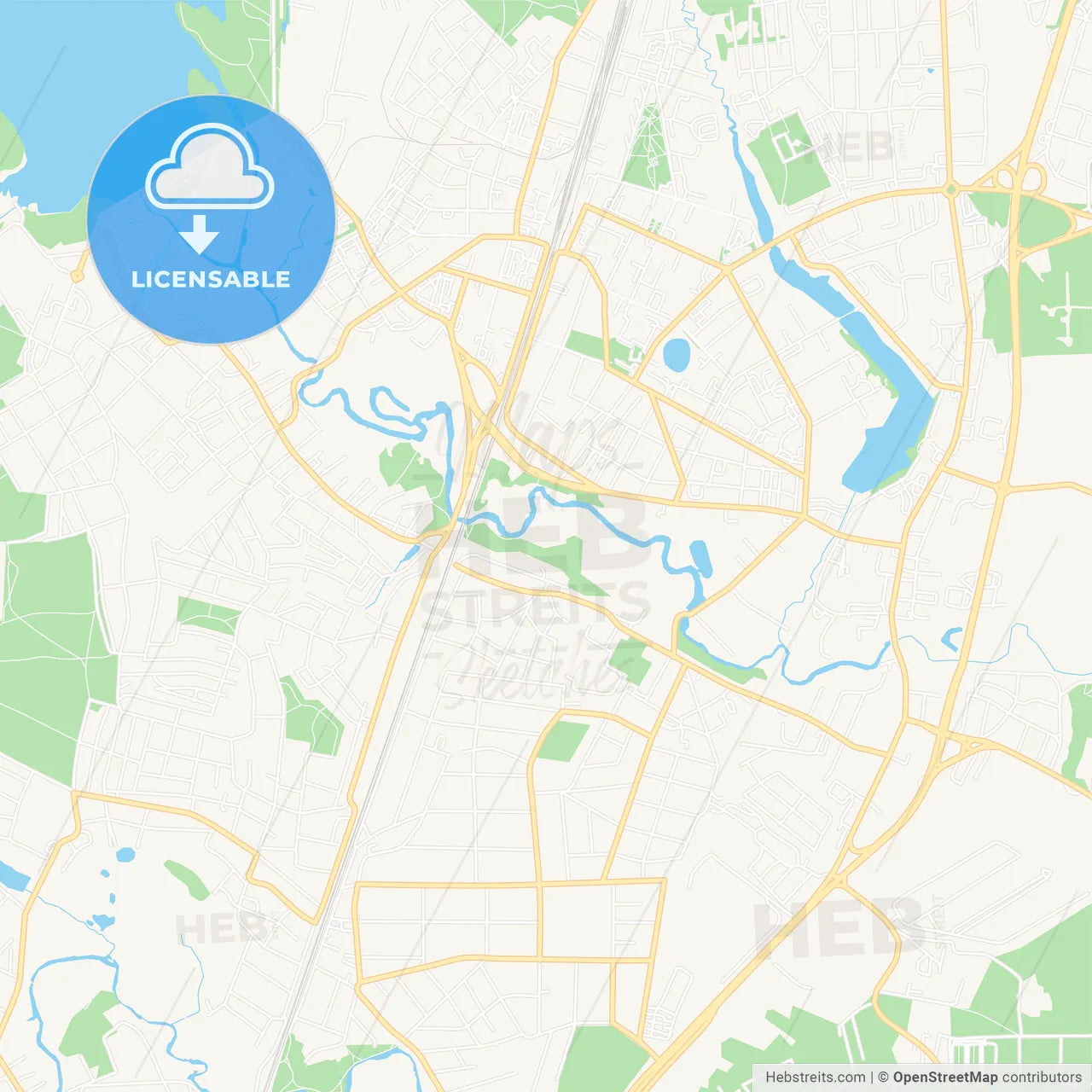 Pushkino, Russia Vector Map - Classic Colors