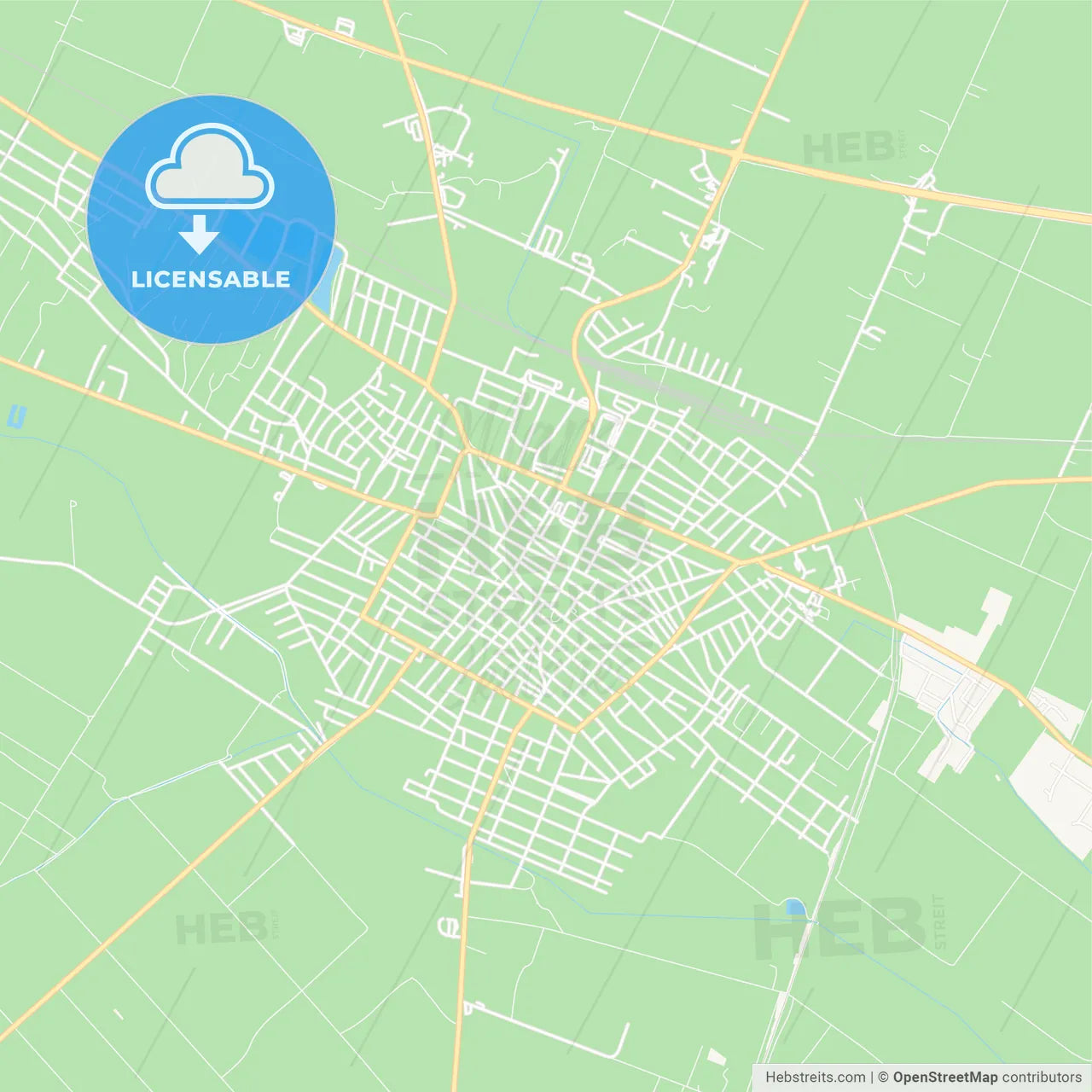 Cegled, Hungary Vector Map - Classic Colors