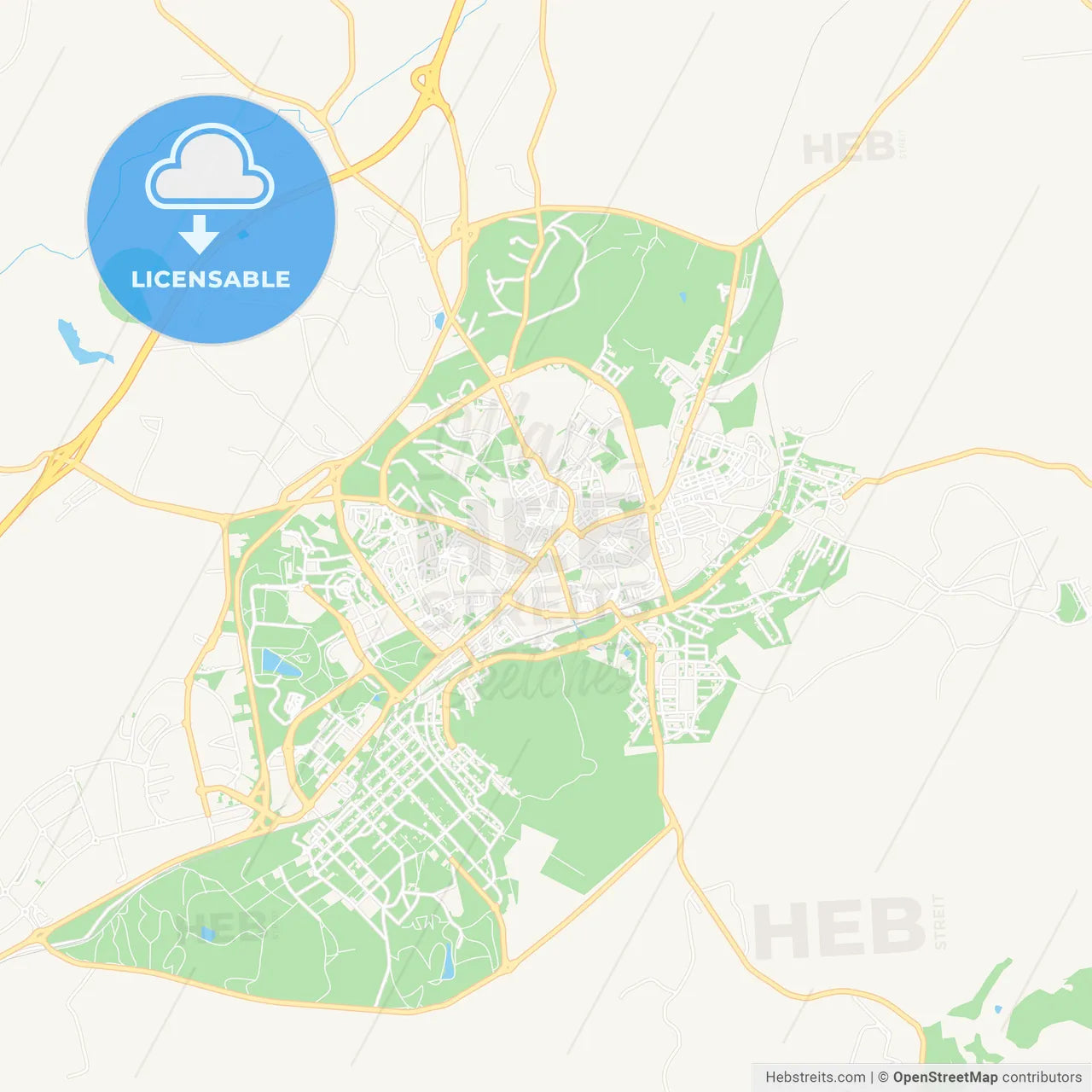 Castelo Branco, Portugal Vector Map - Classic Colors