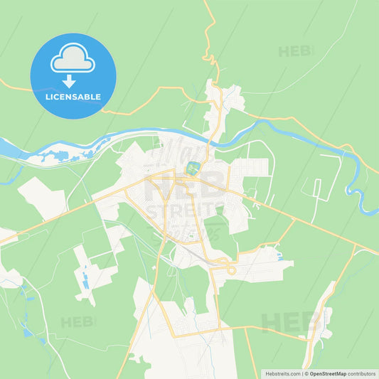 Fagaras, Romania Vector Map - Classic Colors