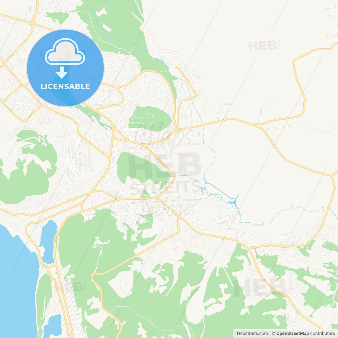 Petropavlovsk-Kamchatsky, Russia Vector Map - Classic Colors