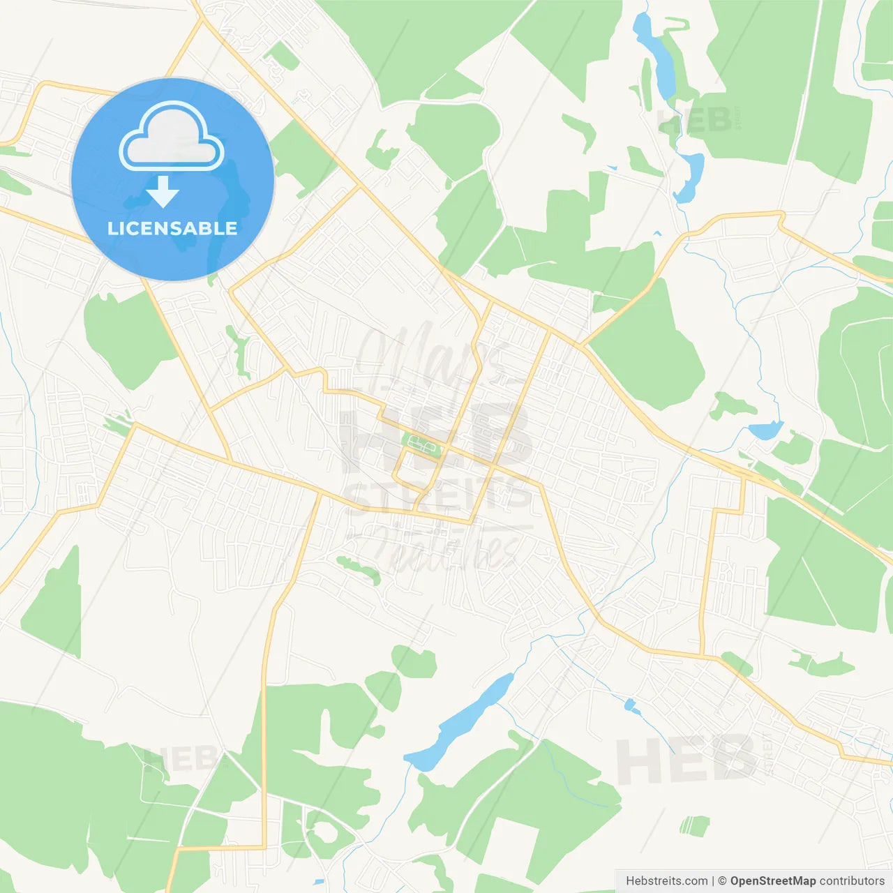 Novoshakhtinsk, Russia Vector Map - Classic Colors