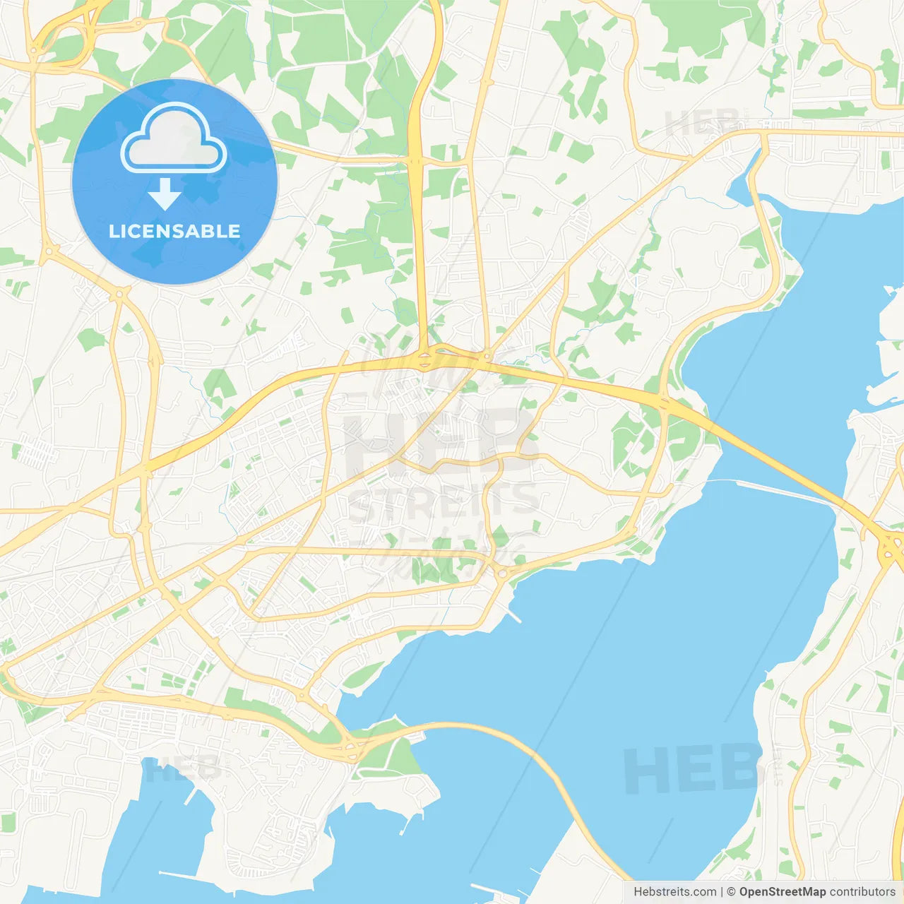 Naron, Spain Vector Map - Classic Colors