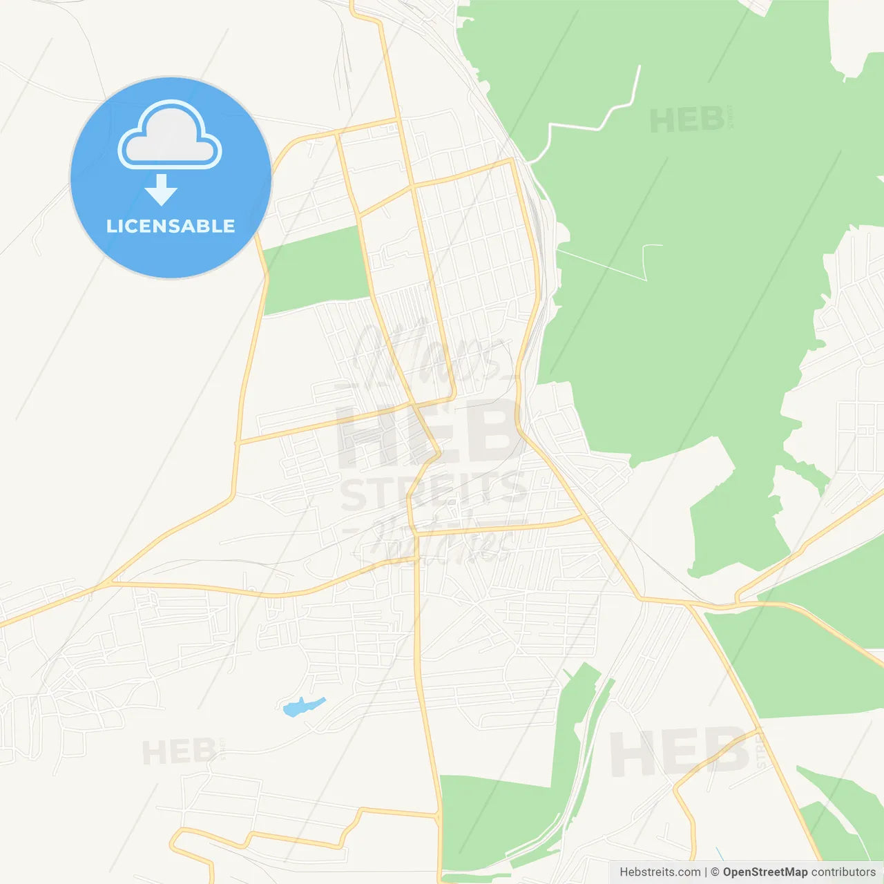 Snizhne, Ukraine Vector Map - Classic Colors