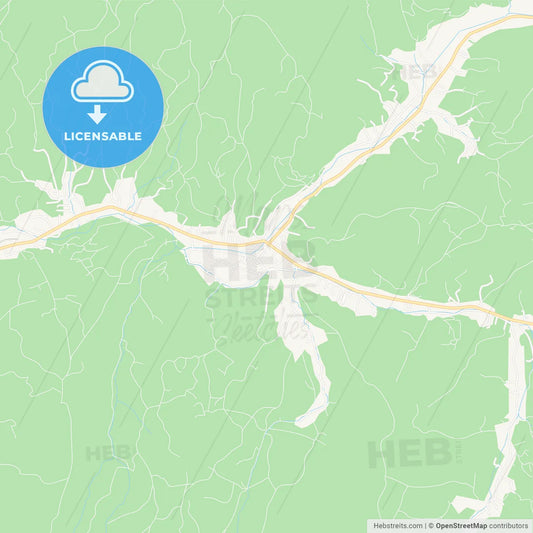 Borsa, Romania Vector Map - Classic Colors