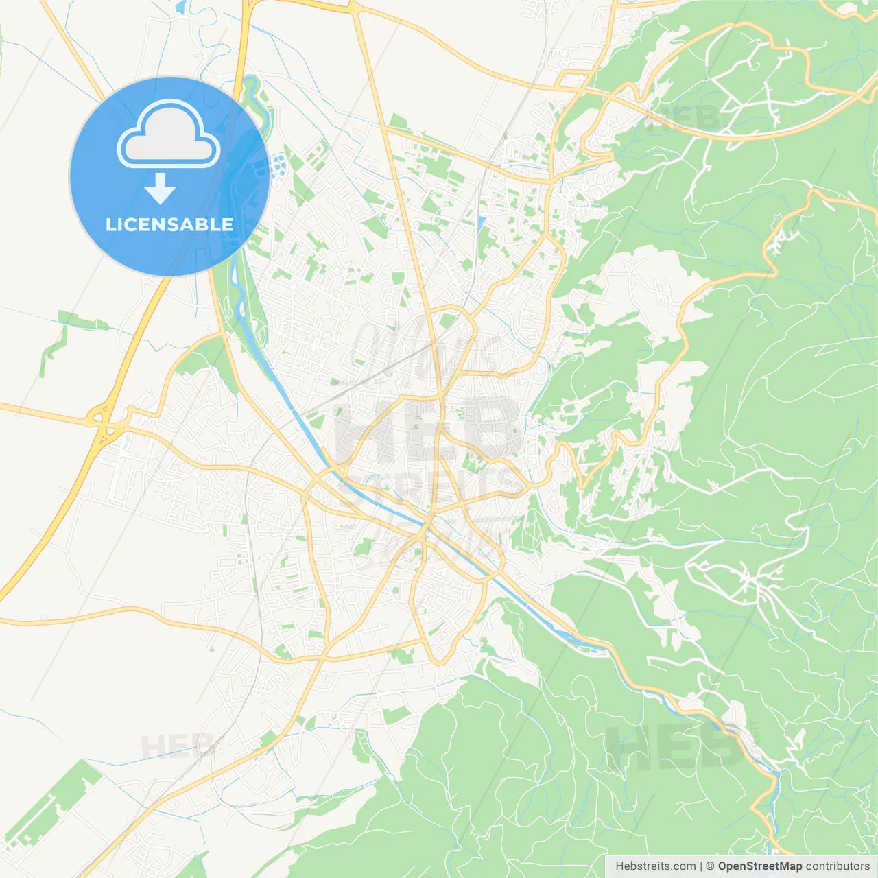 Dornbirn, Austria Vector Map - Classic Colors