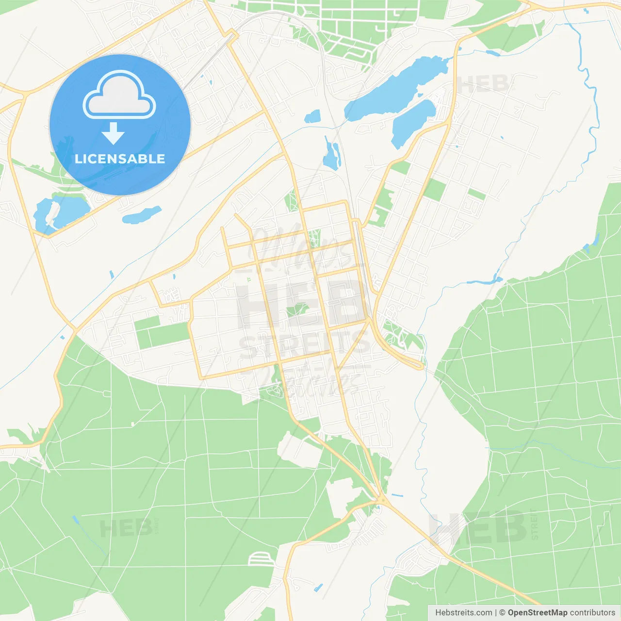 Irpin, Ukraine Vector Map - Classic Colors