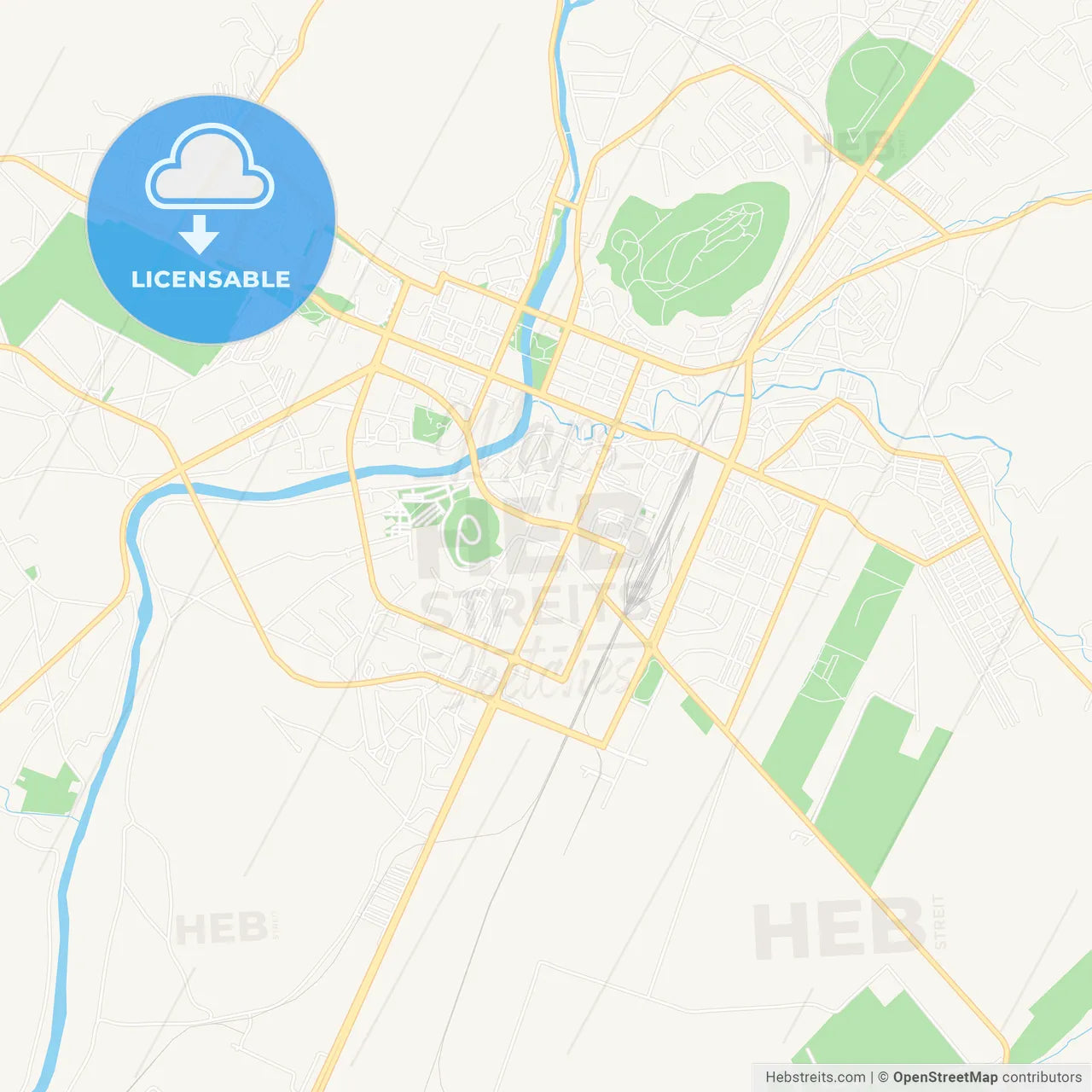 Podgorica, Montenegro Vector Map - Classic Colors