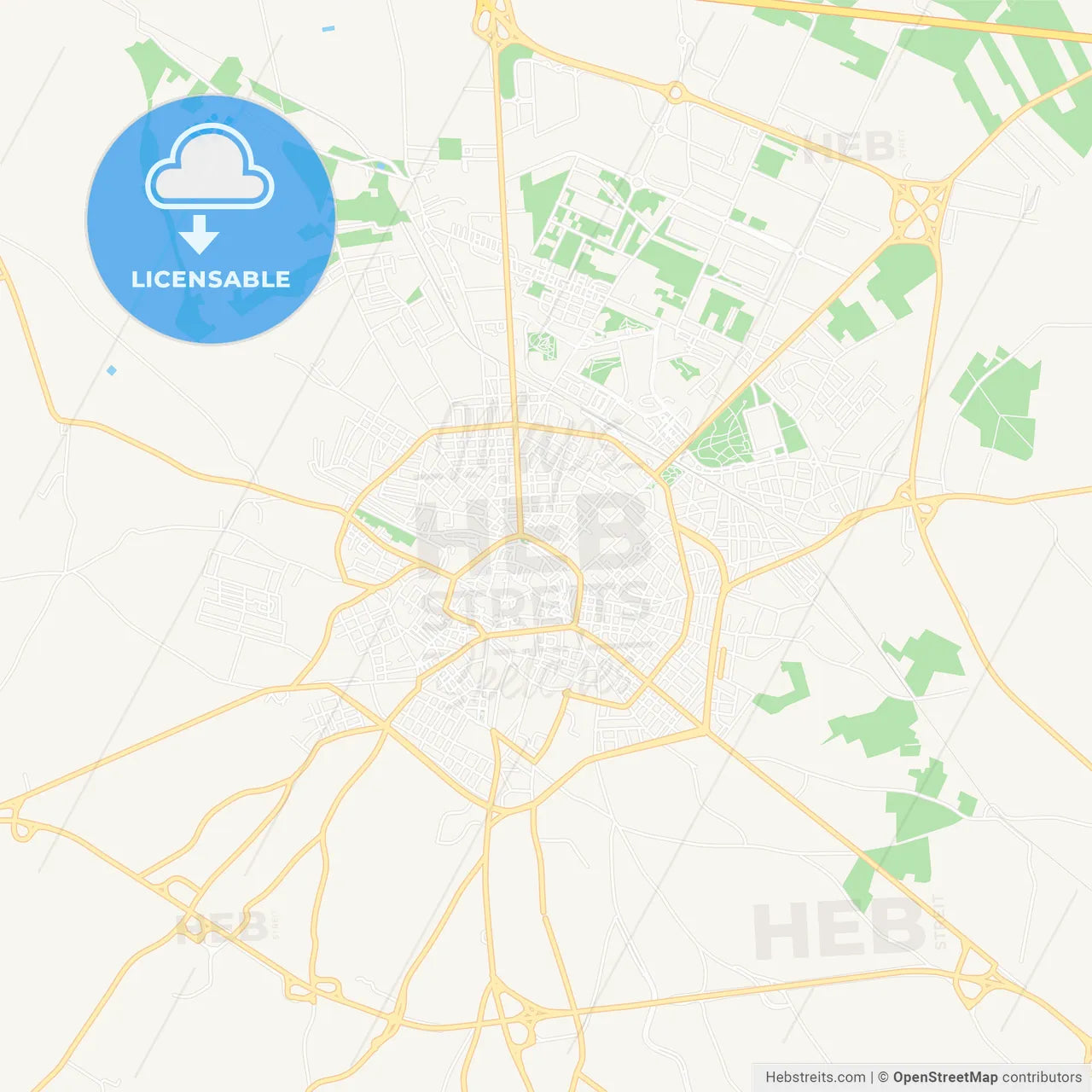 Andria, Italy Vector Map - Classic Colors