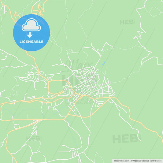 Pljevlja, Montenegro Vector Map - Classic Colors