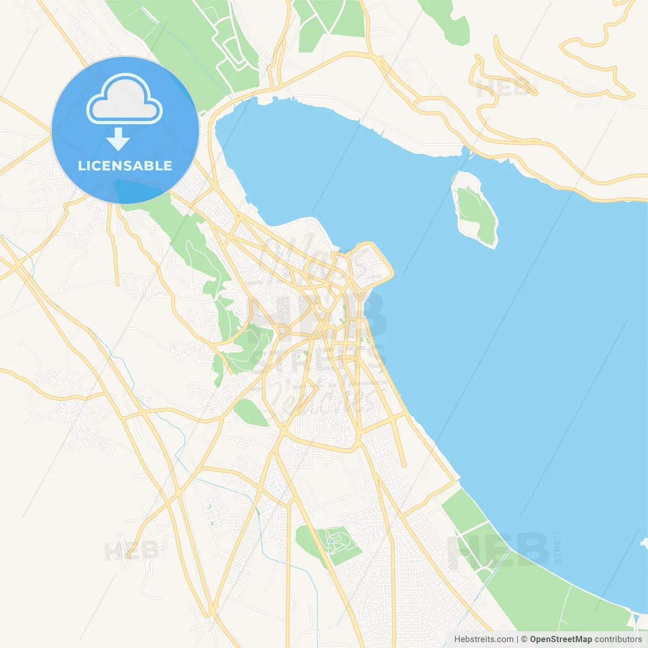 Ioannina, Greece Vector Map - Classic Colors