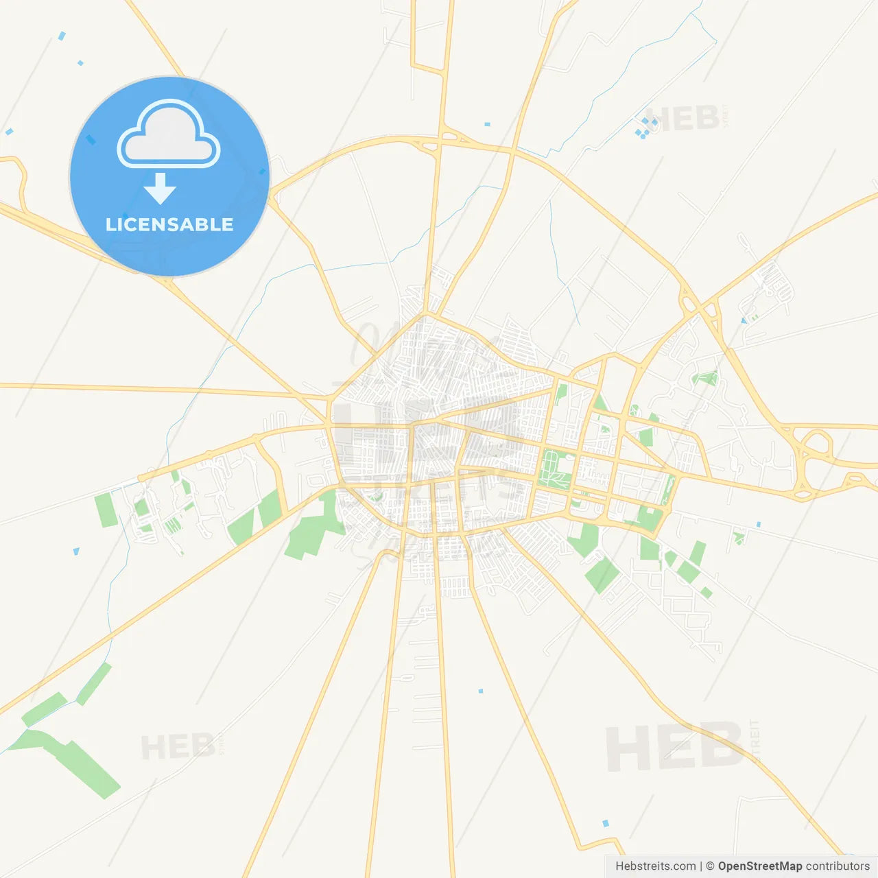 Cerignola, Italy Vector Map - Classic Colors