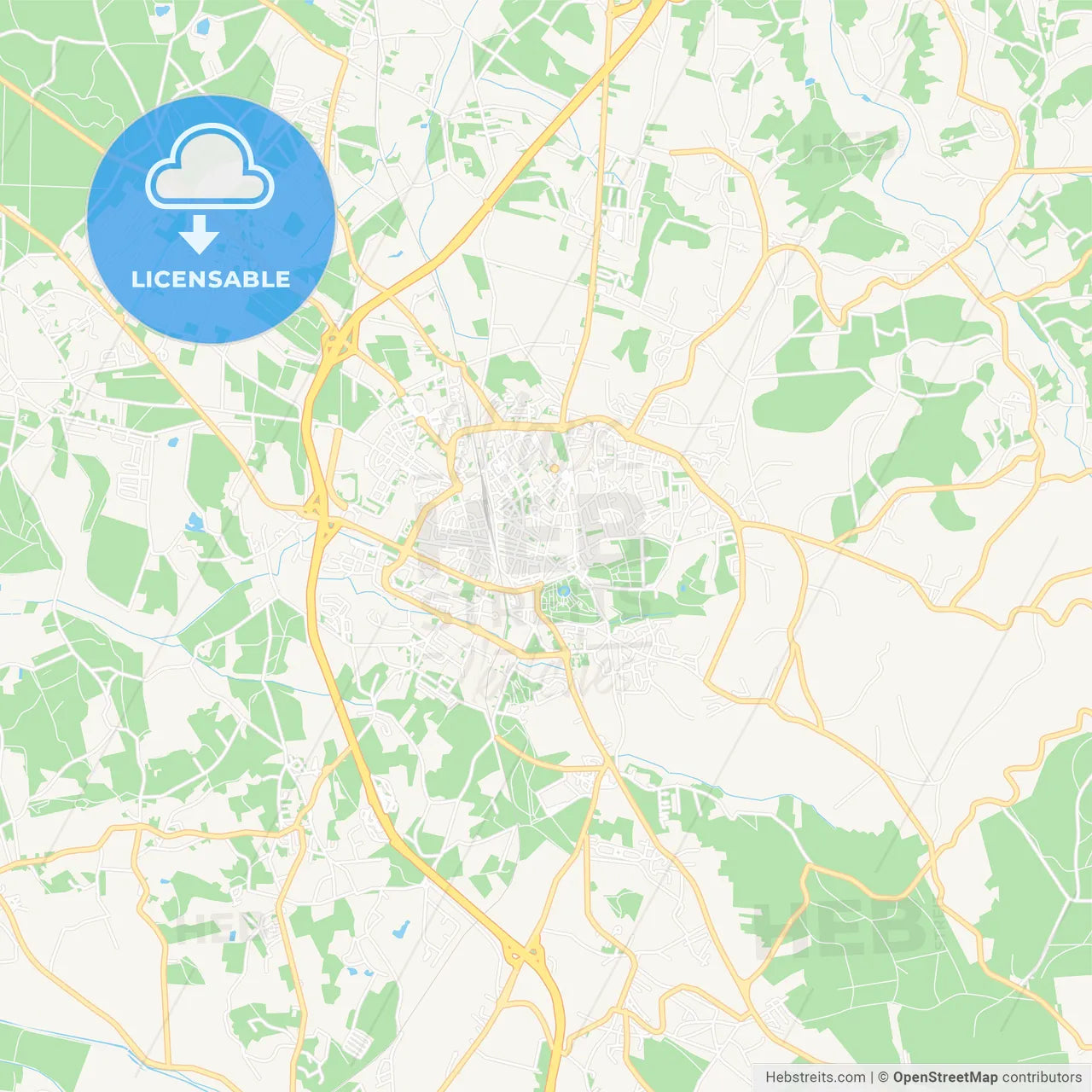 Caldas da Rainha, Portugal Vector Map - Classic Colors