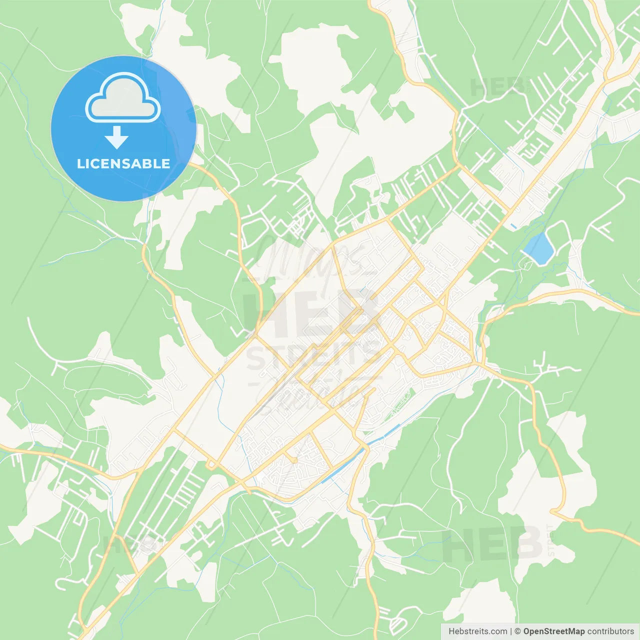 Bistrita, Romania Vector Map - Classic Colors