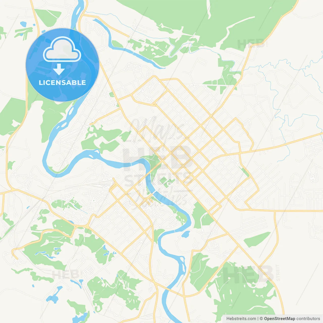 Borovichi, Russia Vector Map - Classic Colors