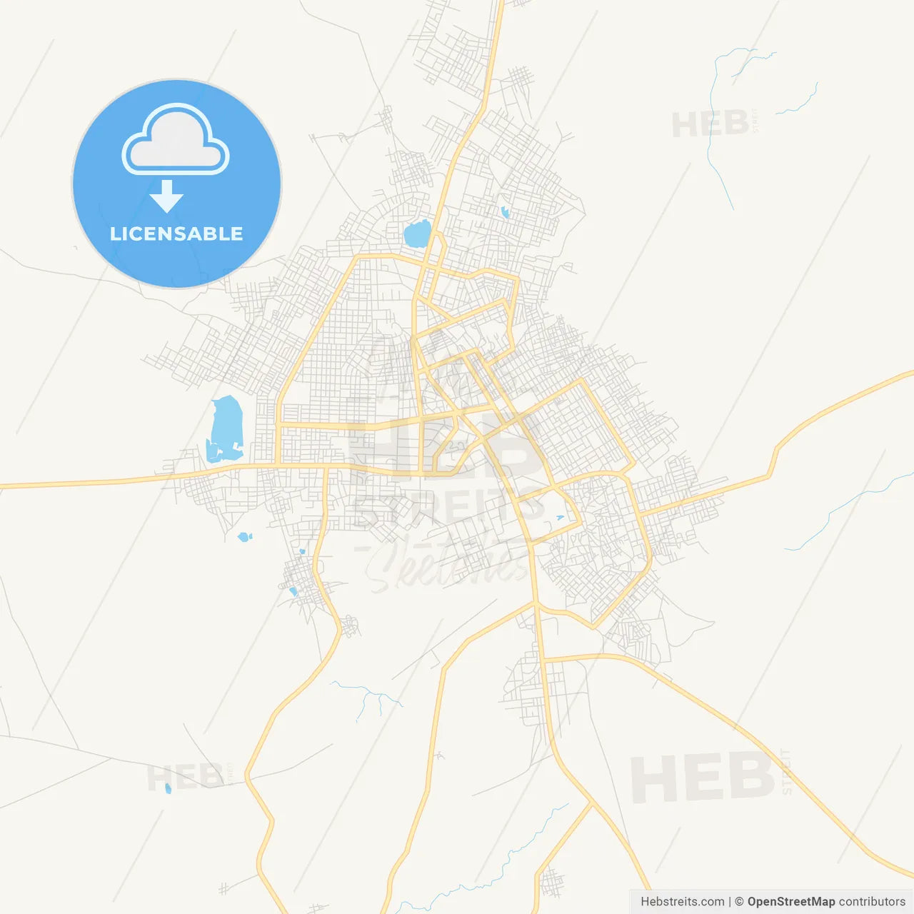 Printable street map of Zinder, Niger