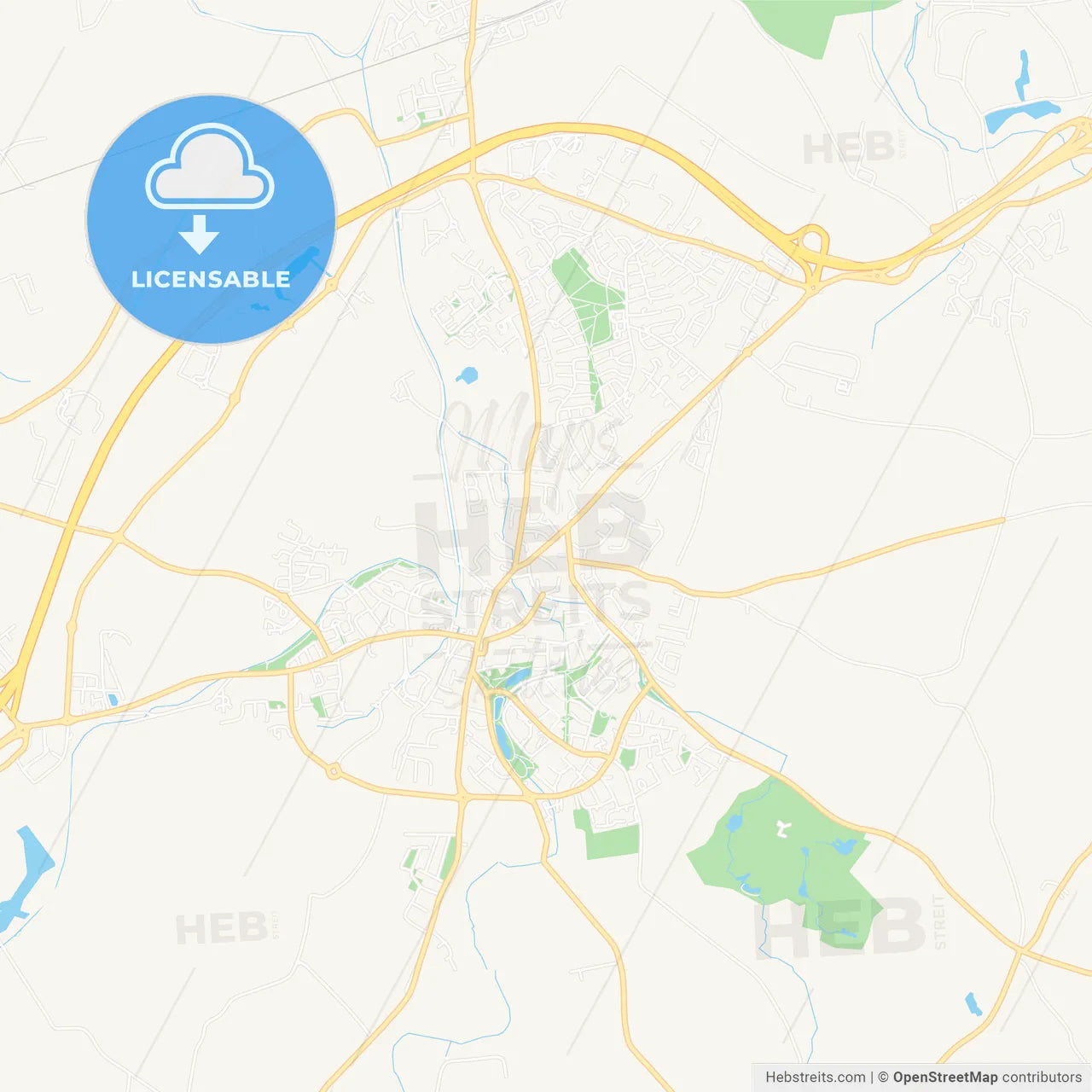 Naas, Ireland Vector Map - Classic Colors