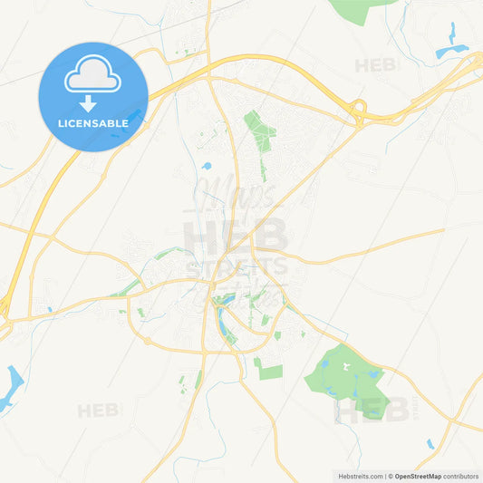 Naas, Ireland Vector Map - Classic Colors