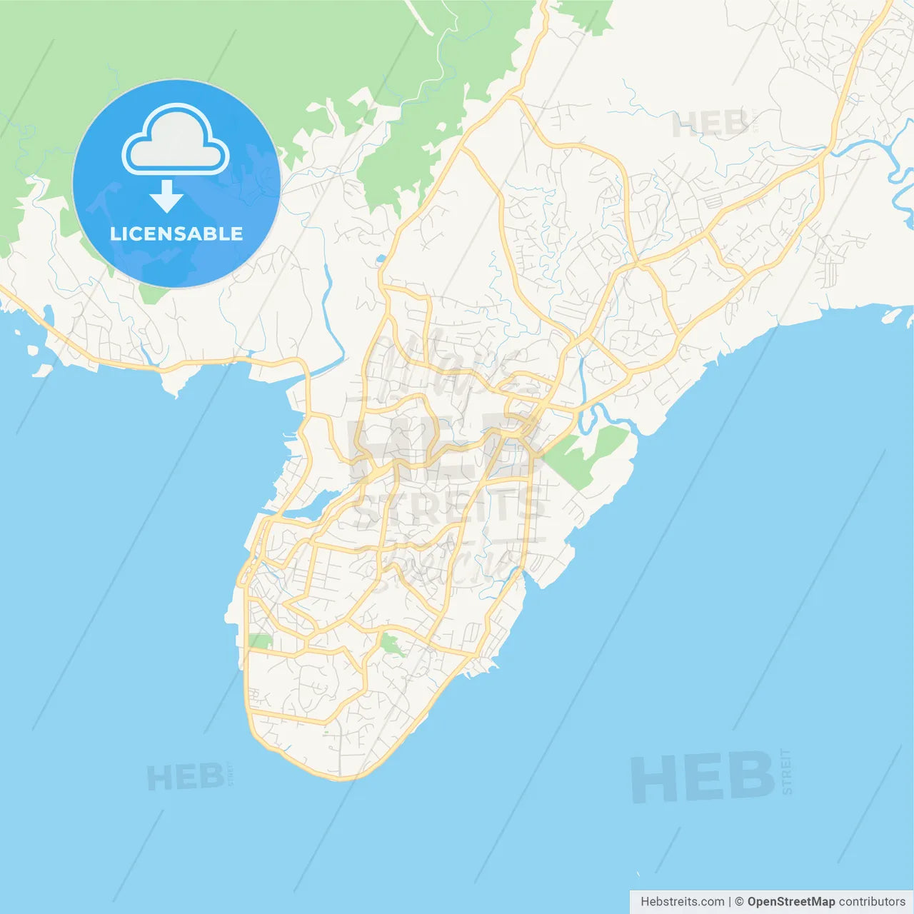 Printable street map of Suva, Fiji