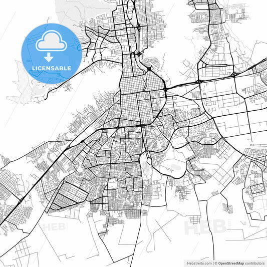 Vector PDF map of Valencia, Venezuela