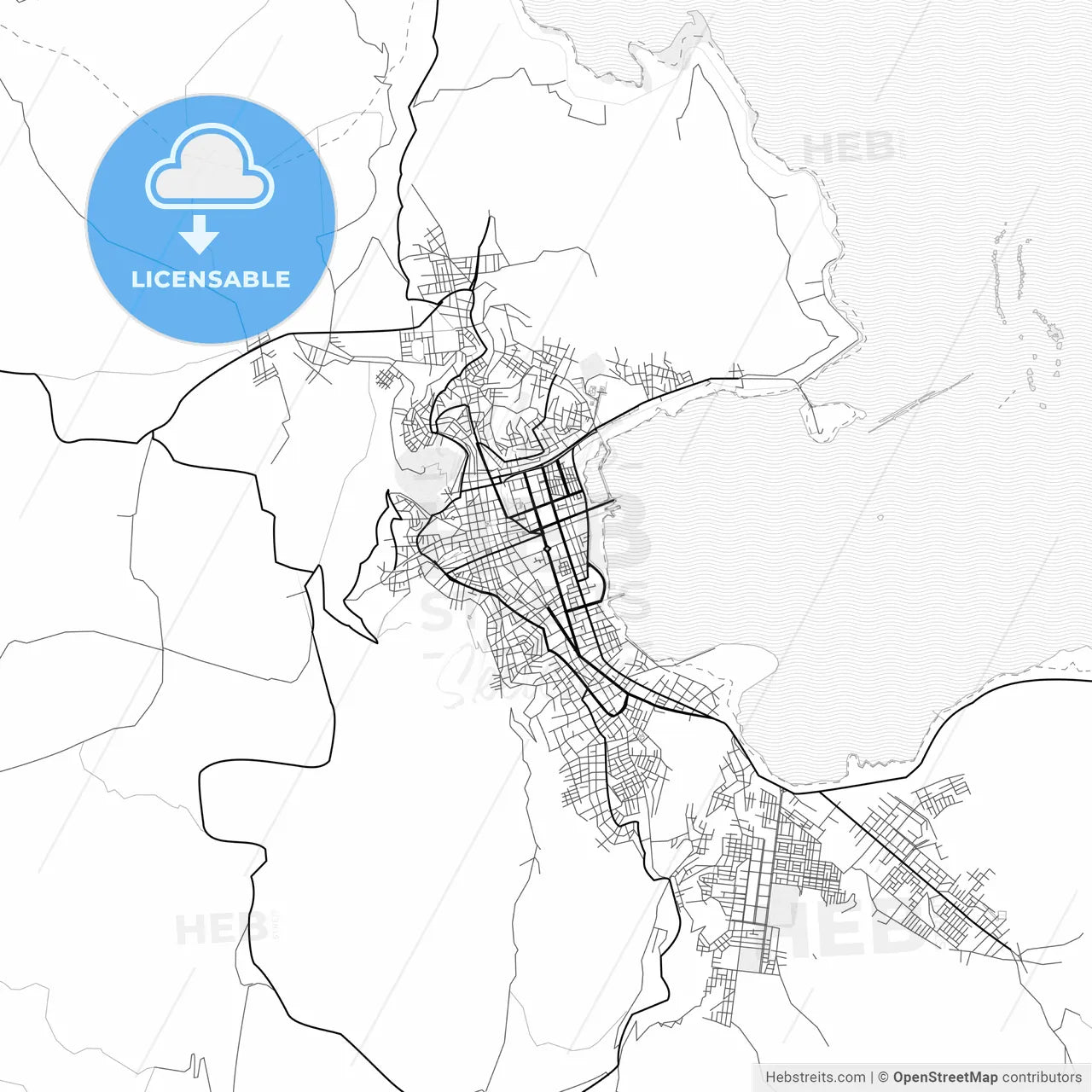 Vector PDF map of Puno, Peru