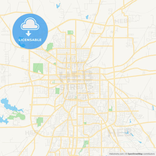 Empty vector map of Tyler, Texas, USA