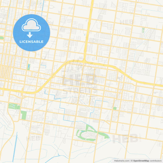 Empty vector map of Pharr, Texas, USA