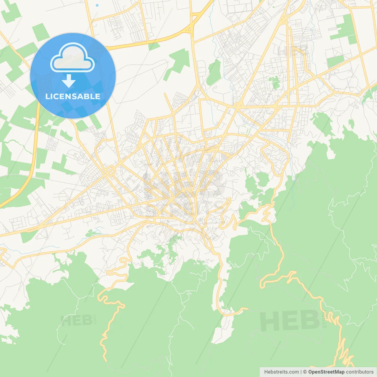 Printable street map of Blida, Algeria