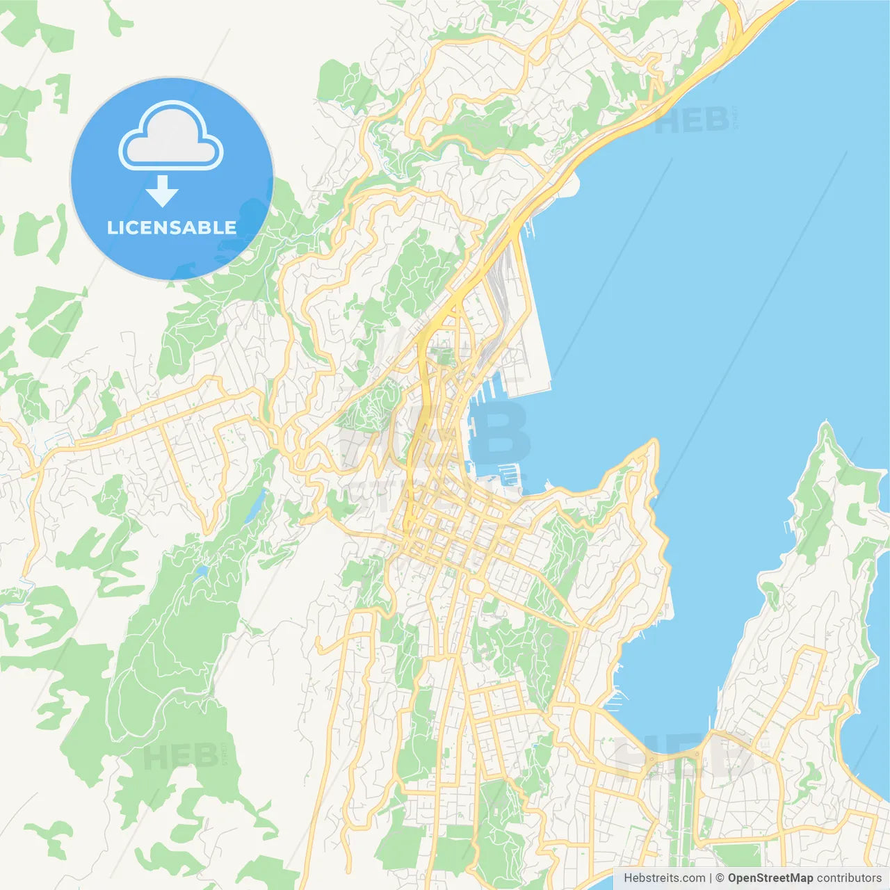 Printable street map of Wellington, New Zealand