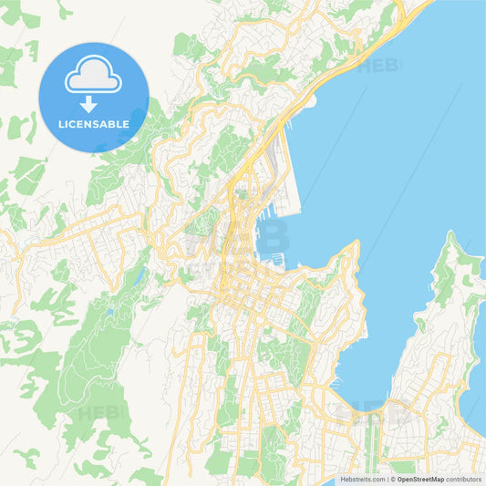 Printable street map of Wellington, New Zealand
