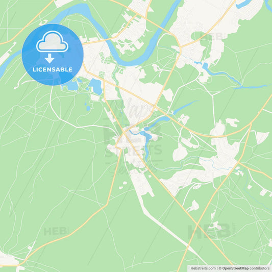 Druskininkai, Lithuania Vector Map - Classic Colors