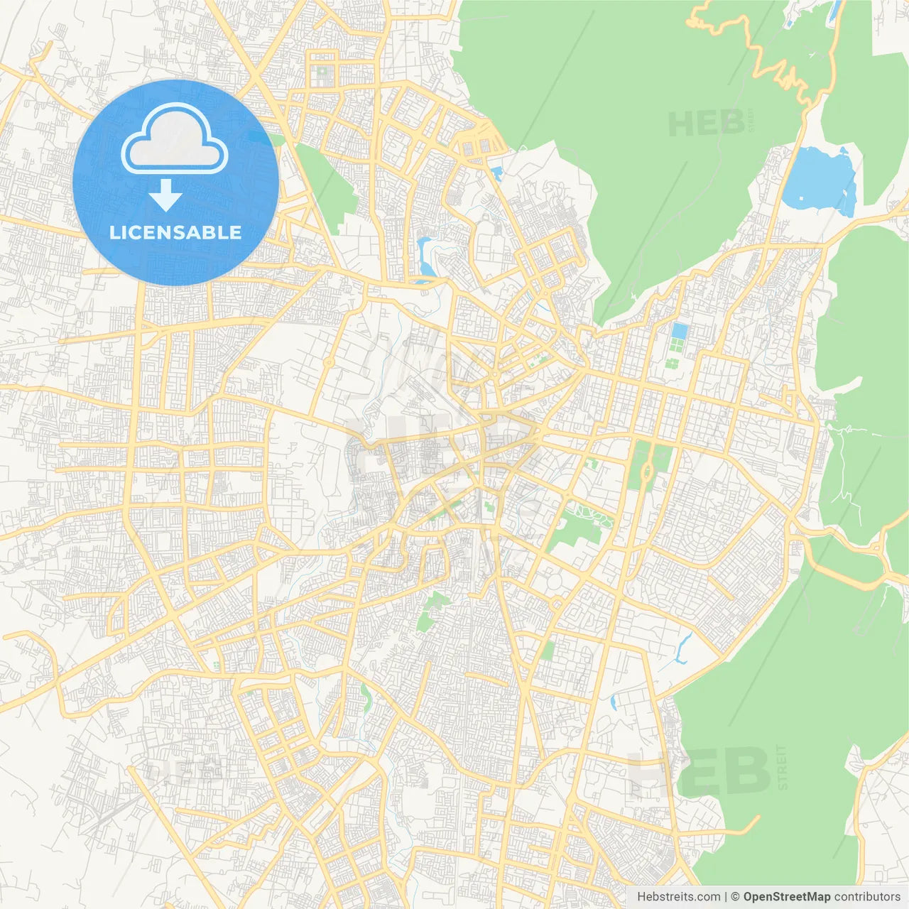 Printable street map of Jaipur, India