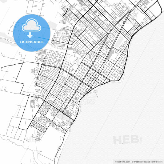 Vector PDF map of Punta Arenas, Chile