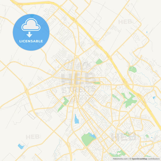 Empty vector map of Bryan, Texas, USA