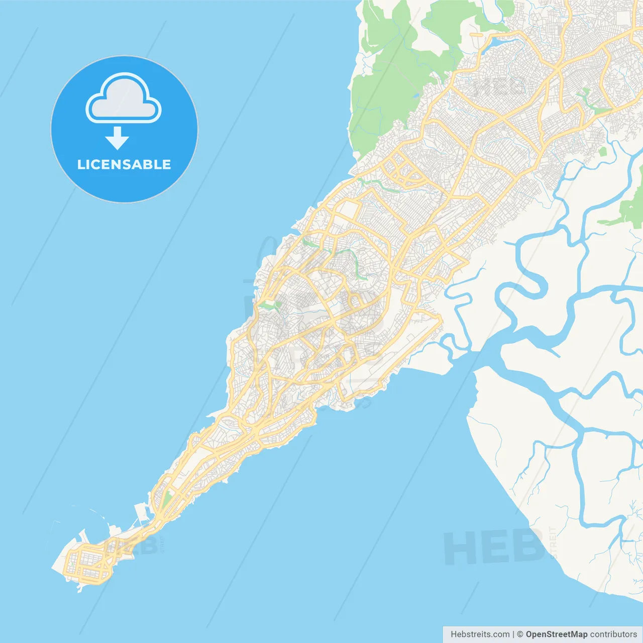Printable street map of Camayenne, Guinea