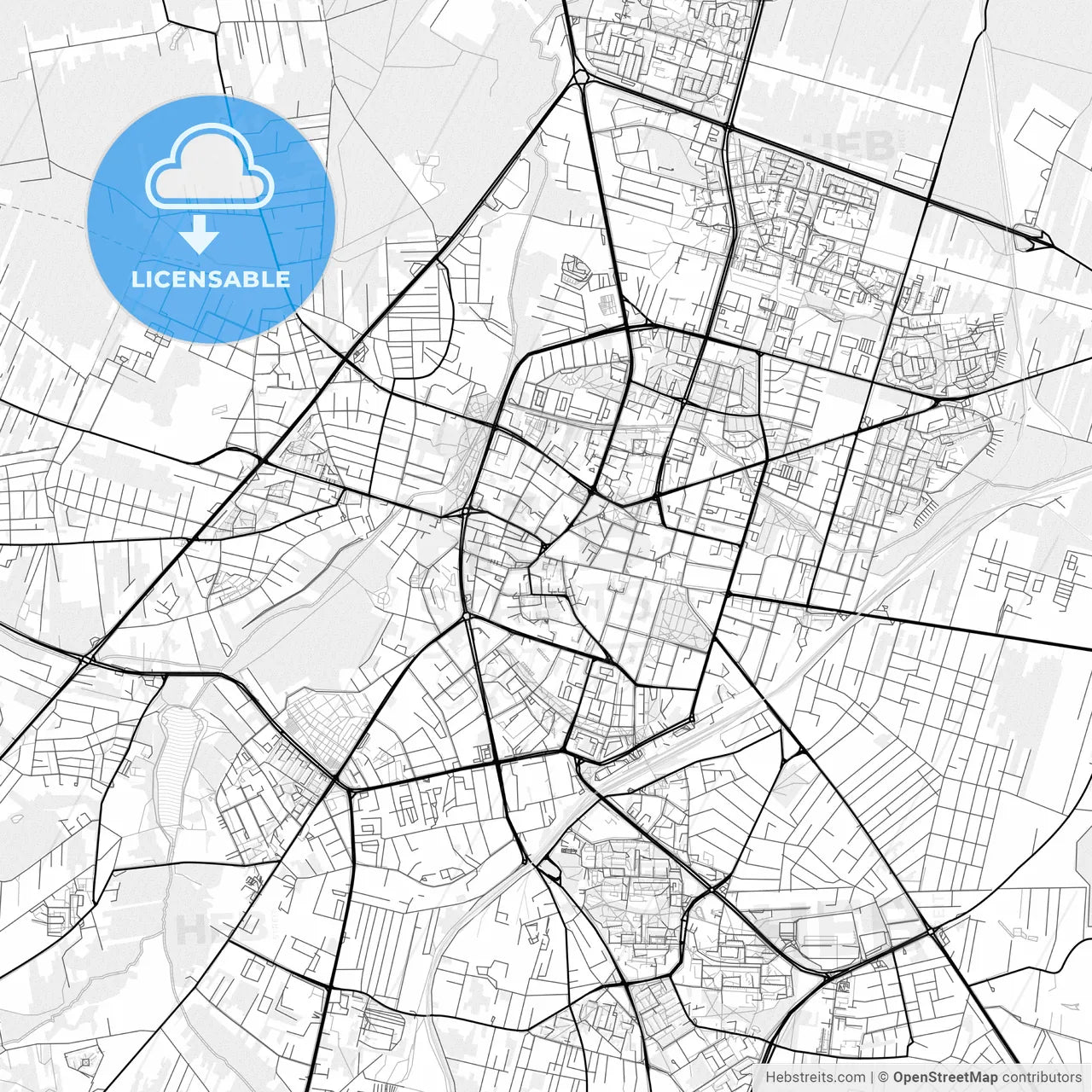 Vector PDF map of Radom, Poland