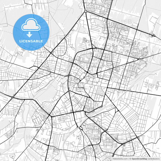 Vector PDF map of Radom, Poland