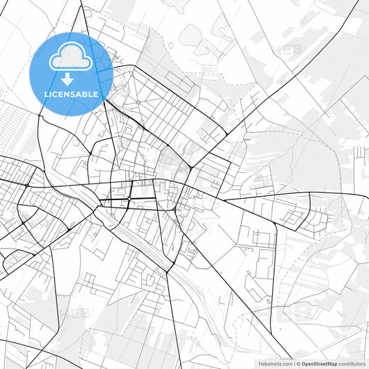 Vector PDF map of Siedlce, Poland
