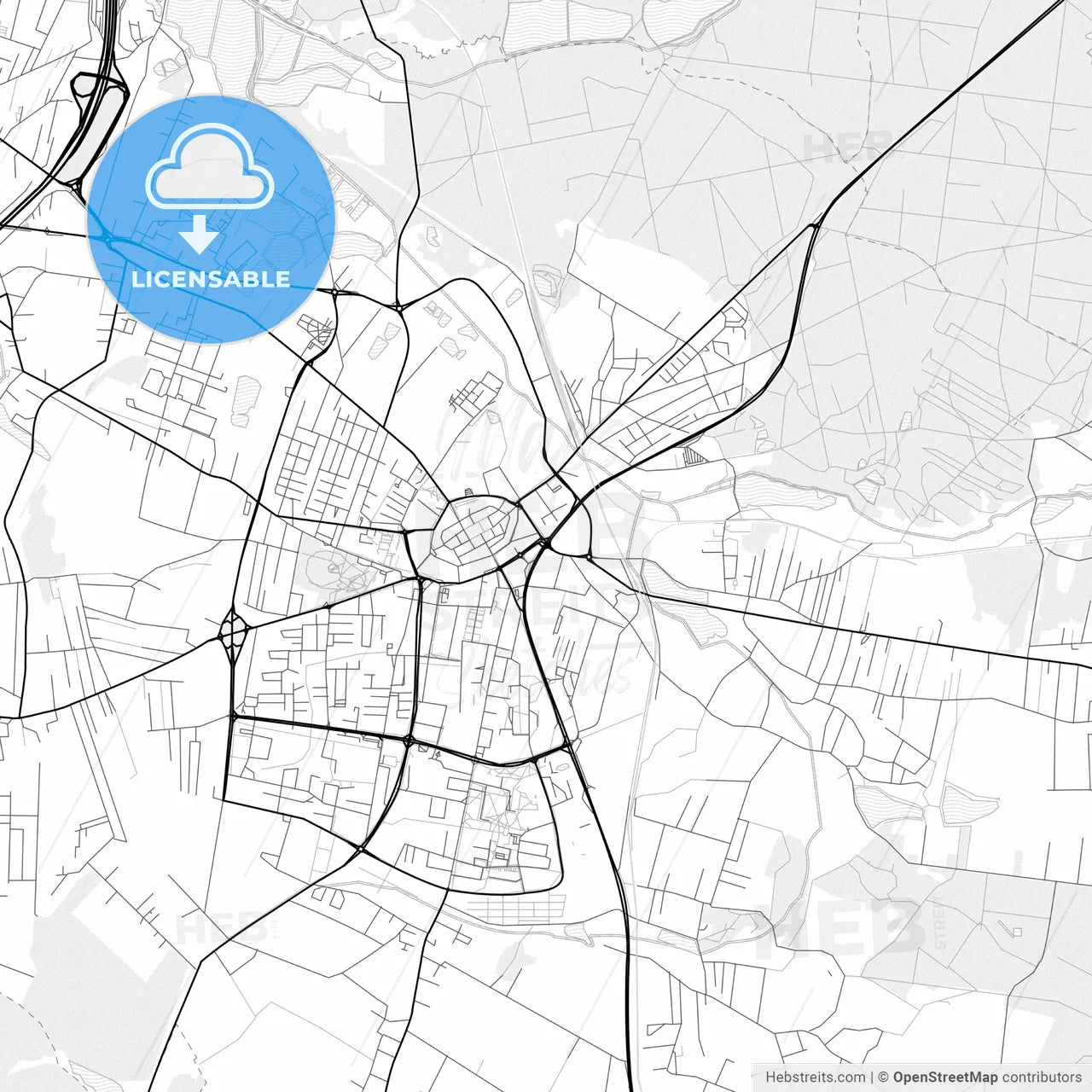 Vector PDF map of Żory, Poland