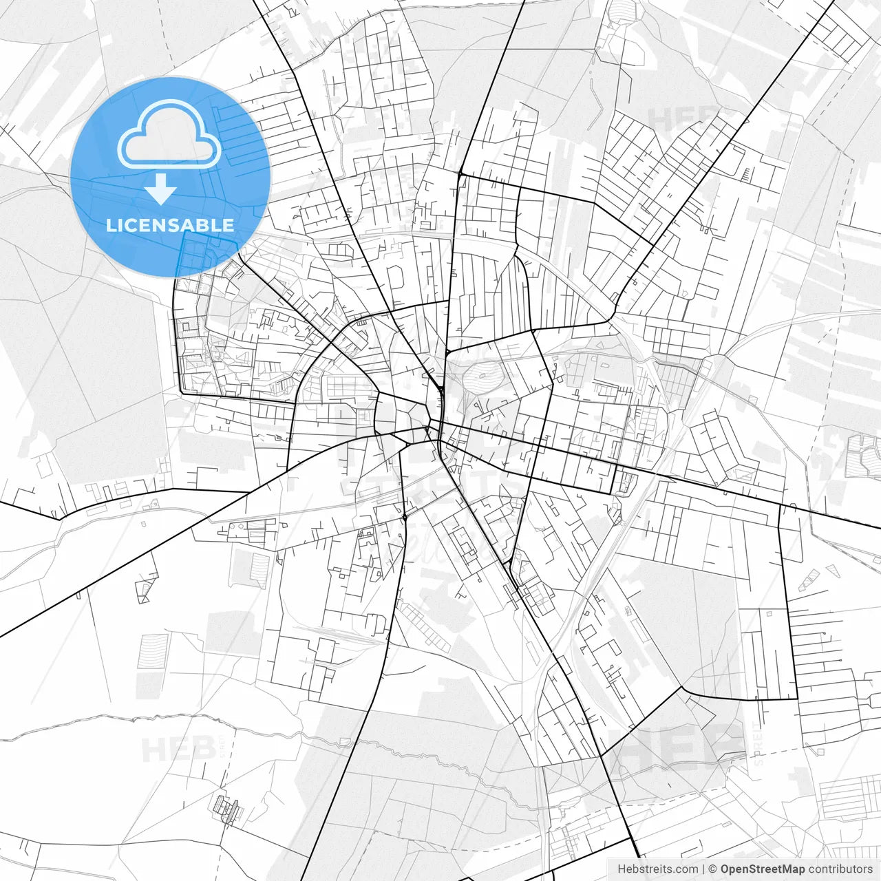 Vector PDF map of Zgierz, Poland