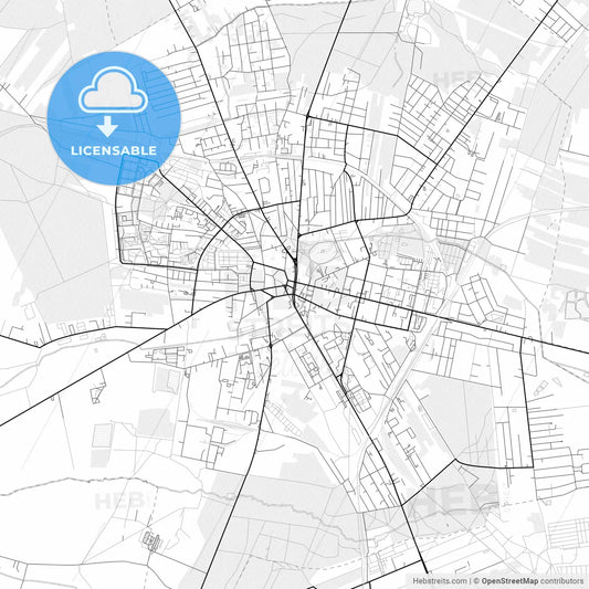 Vector PDF map of Zgierz, Poland