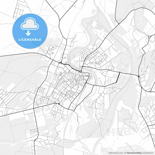 Vector PDF map of Racibórz, Poland