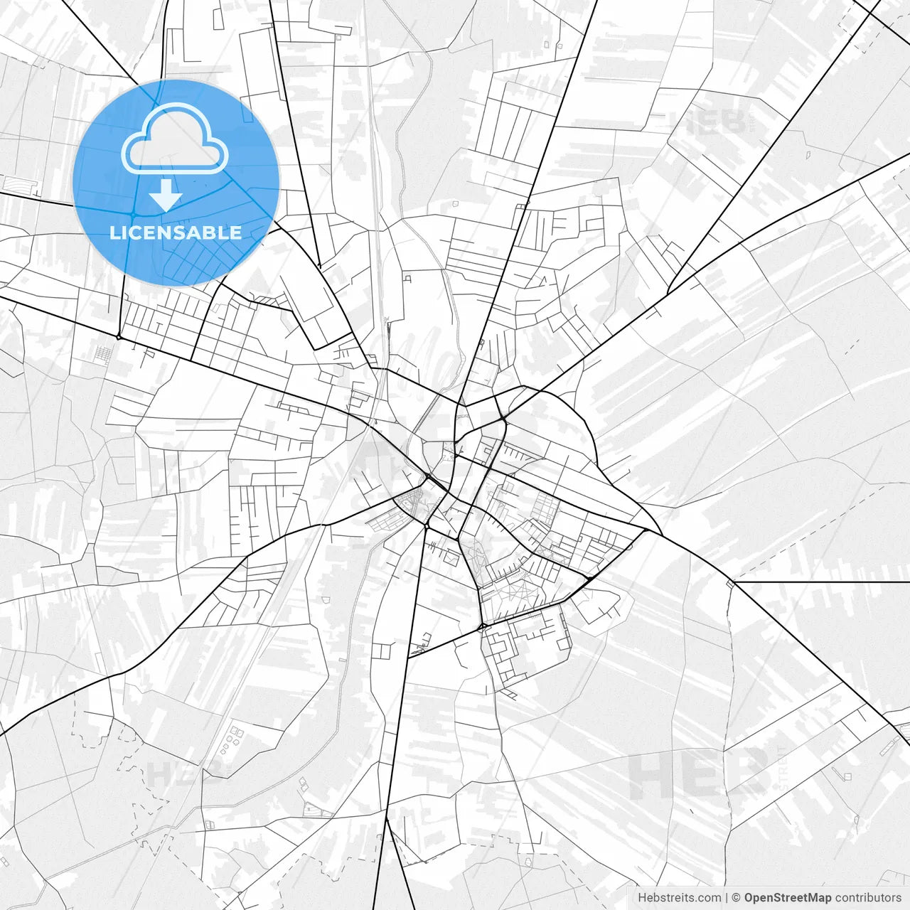 Vector PDF map of Radomsko, Poland