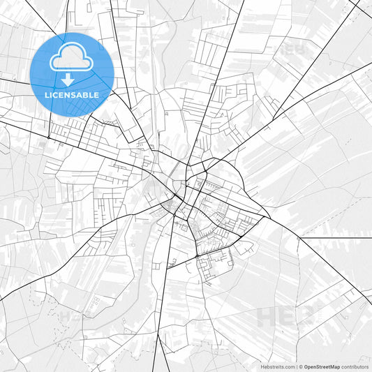 Vector PDF map of Radomsko, Poland