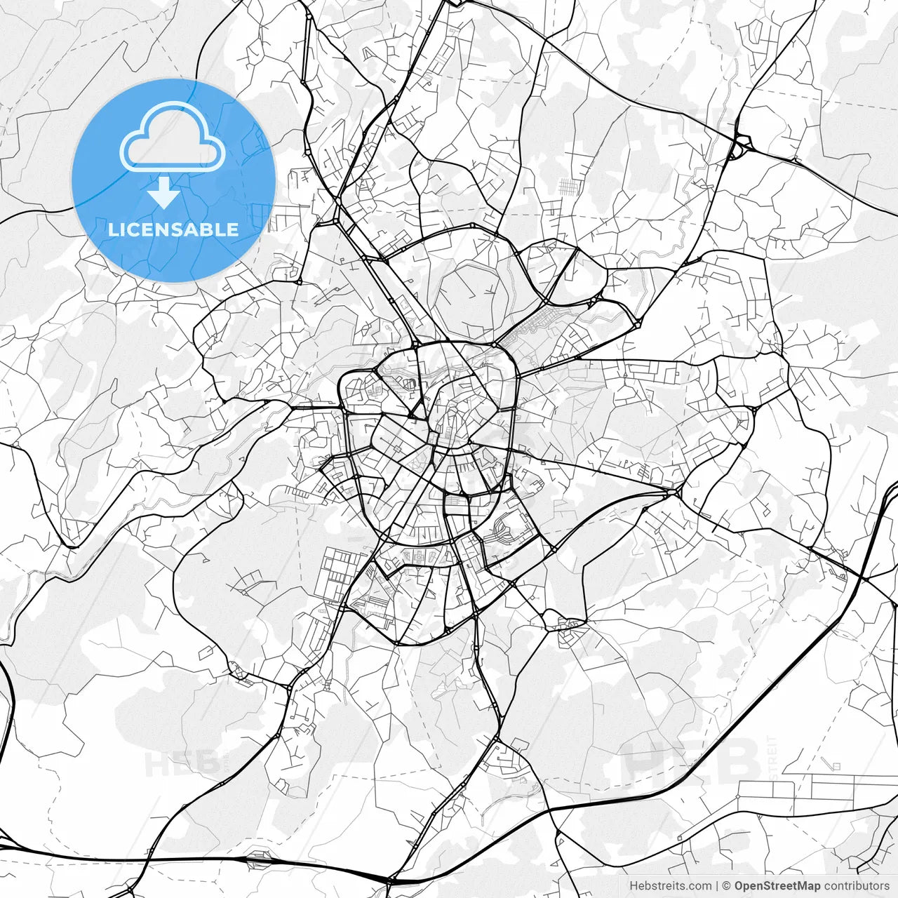 Vector PDF map of Viseu, Portugal